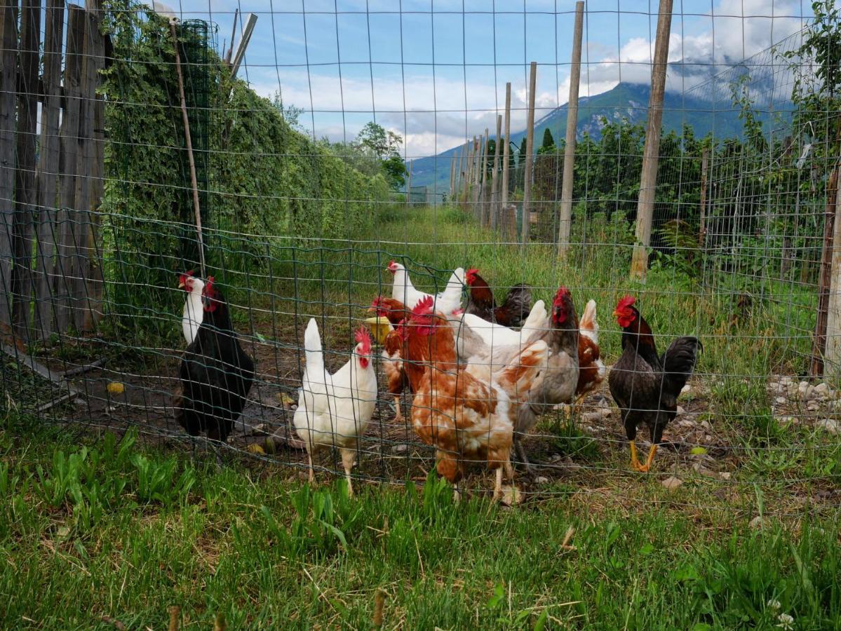 Agriturismo Casa Di Campagna Riva del Garda Kültér fotó