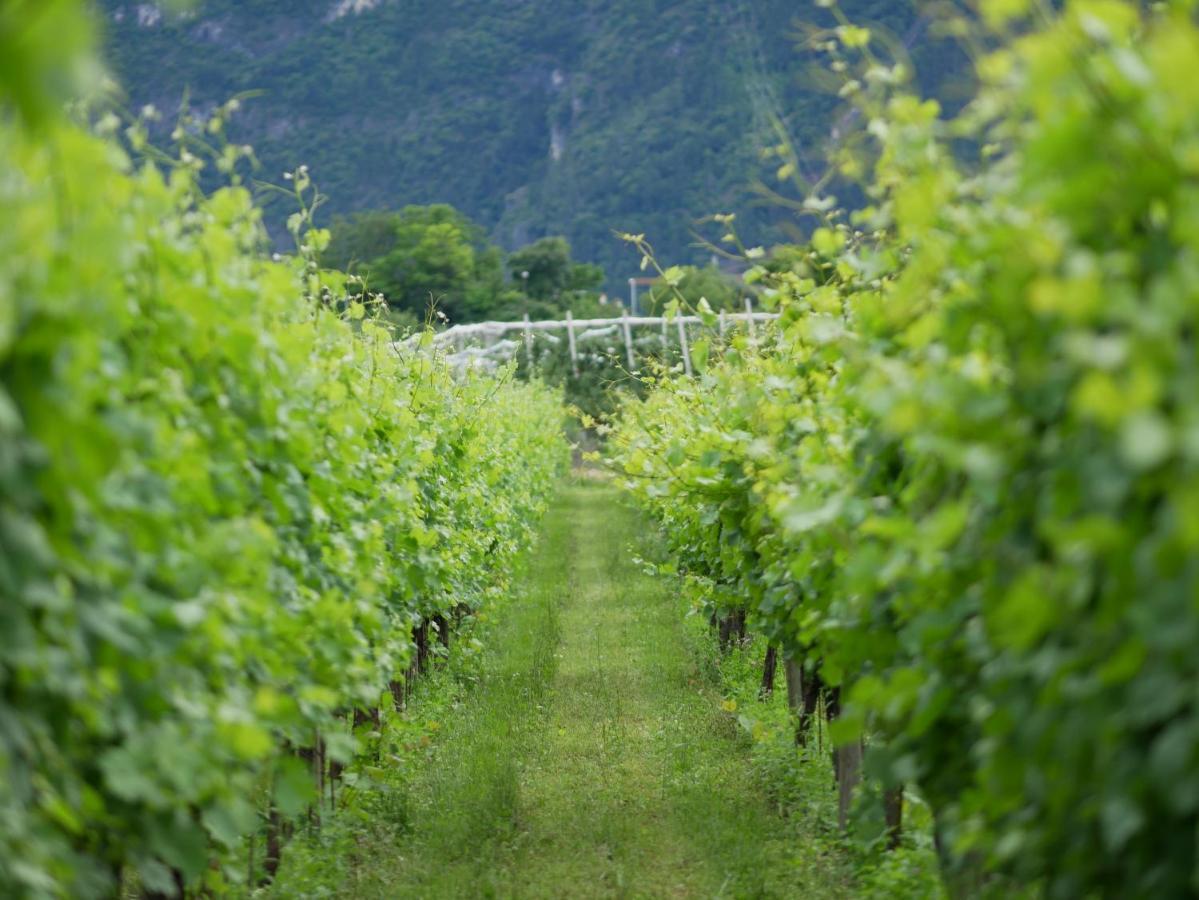 Agriturismo Casa Di Campagna Riva del Garda Kültér fotó