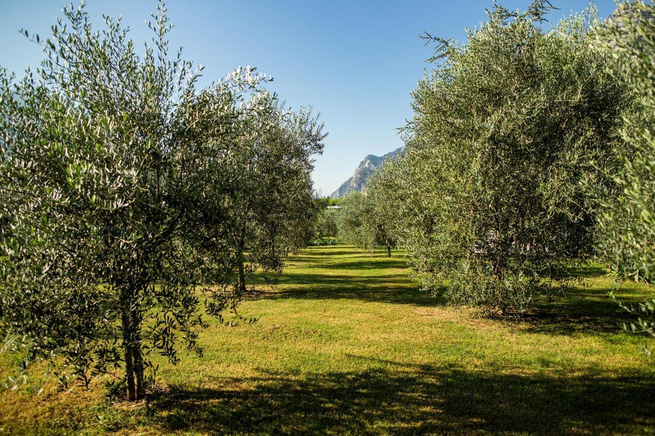 Agriturismo Casa Di Campagna Riva del Garda Kültér fotó