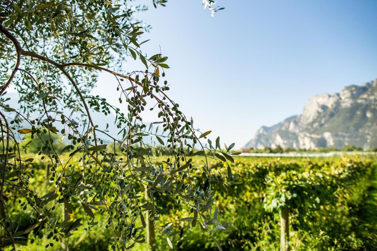 Agriturismo Casa Di Campagna Riva del Garda Kültér fotó