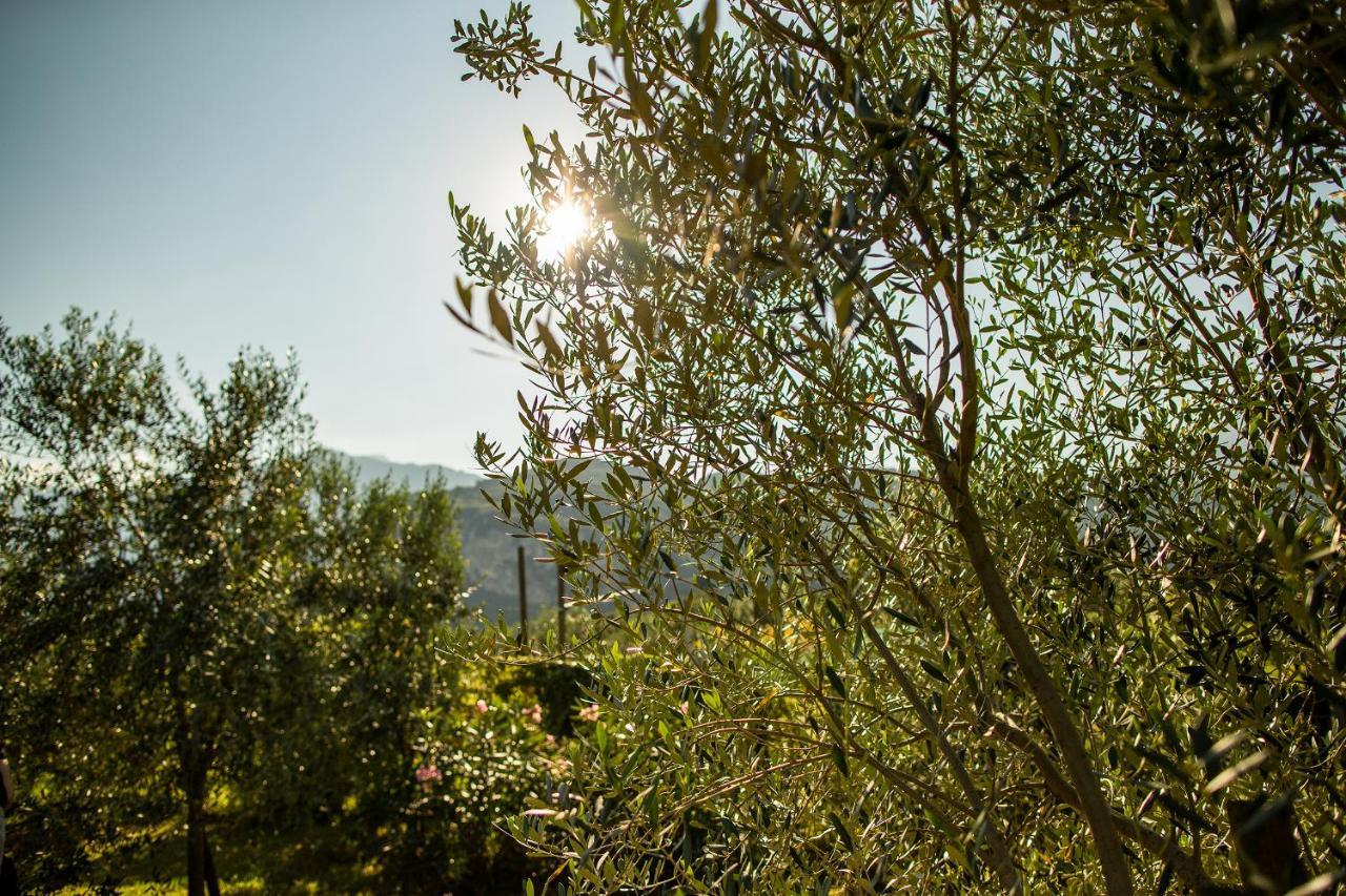Agriturismo Casa Di Campagna Riva del Garda Kültér fotó
