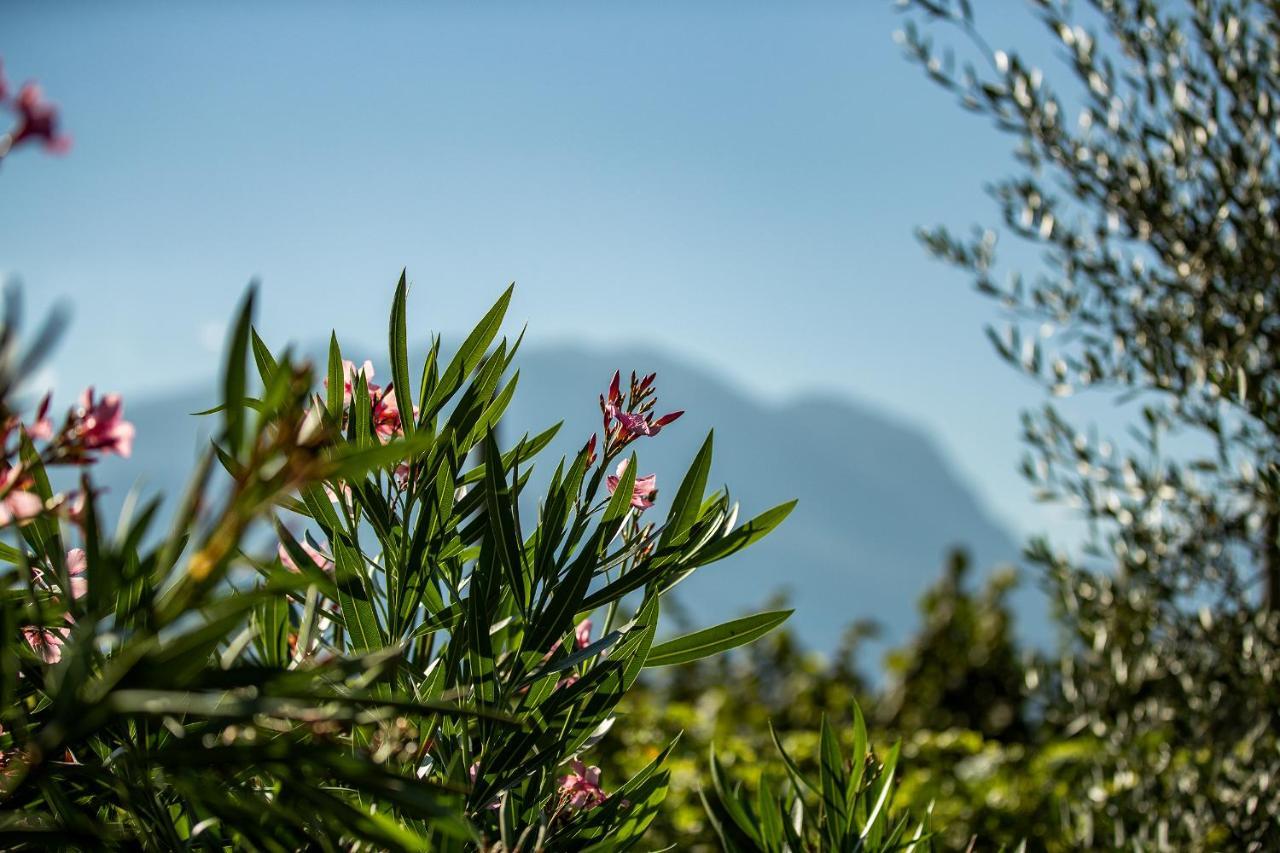 Agriturismo Casa Di Campagna Riva del Garda Kültér fotó